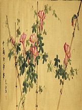 160504_光寶_花鳥(niǎo)_3
